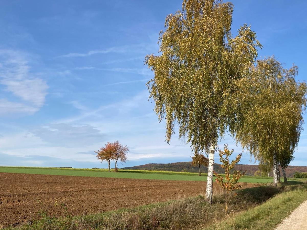 Ferienwohnung Franken Hallerndorf Eksteriør billede